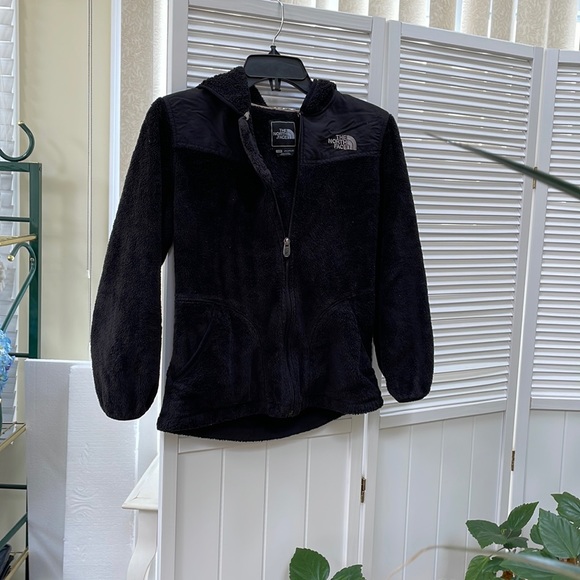 The North Face Other - North Face Jacket